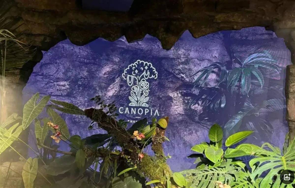 瑞士乙组联赛升级赛
_用大象粪便做甜品的餐厅瑞士乙组联赛升级赛
,因违反《食品安全法》被立案调查