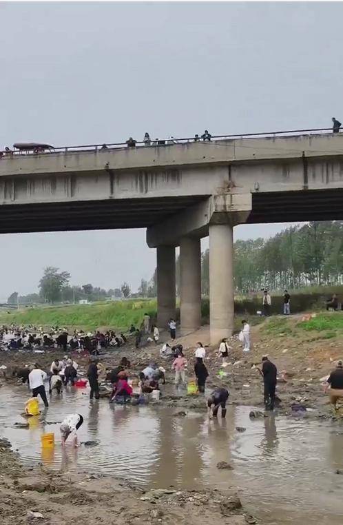 皇冠信用网APP下载_河南浚县一处河道内众人捞金?当地辟谣:捞的是花甲皇冠信用网APP下载,已劝离捕捞客