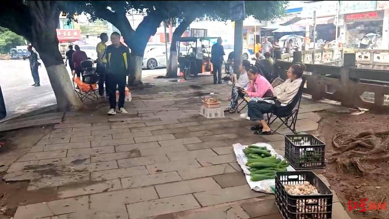 皇冠信用网在线开户_“天价”鸡枞调查:最贵卖到1800元/公斤!雨水少致产量低皇冠信用网在线开户,多地价高客少