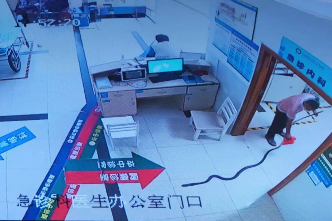 纽约红牛vs哥伦布机员_眼镜王蛇咬伤老人纽约红牛vs哥伦布机员,家属拖两米多长的“凶手”冲进医院!“拎蛇就医”可取吗?