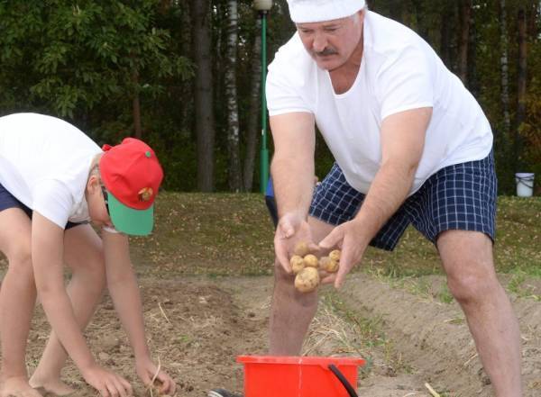黑镇市vs卧龙岗狼队_卢卡申科:我要带土豆去中国黑镇市vs卧龙岗狼队,送给各国领导人