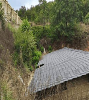 福岛联队vs鹿儿岛联_1人掉入猪舍粪池致3人殒命福岛联队vs鹿儿岛联!经济损失193.9384万元