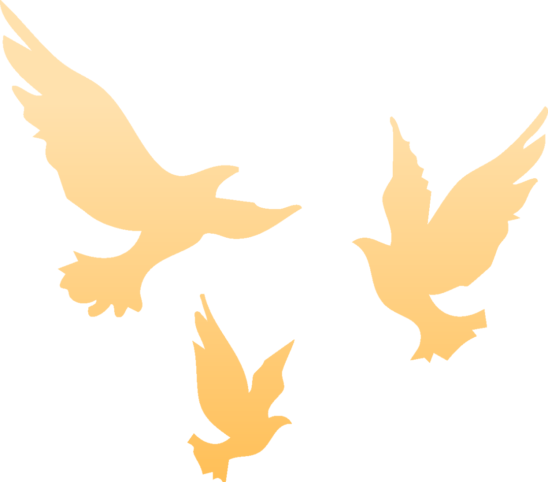 香港足球聯賽_就在明天香港足球聯賽!九三阅兵!这份直播观看攻略与亮点安排请收好