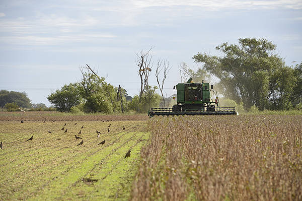 皇冠登3代理申请_英媒:中国又从阿根廷买了至少10船大豆皇冠登3代理申请,美国农民再遭重创