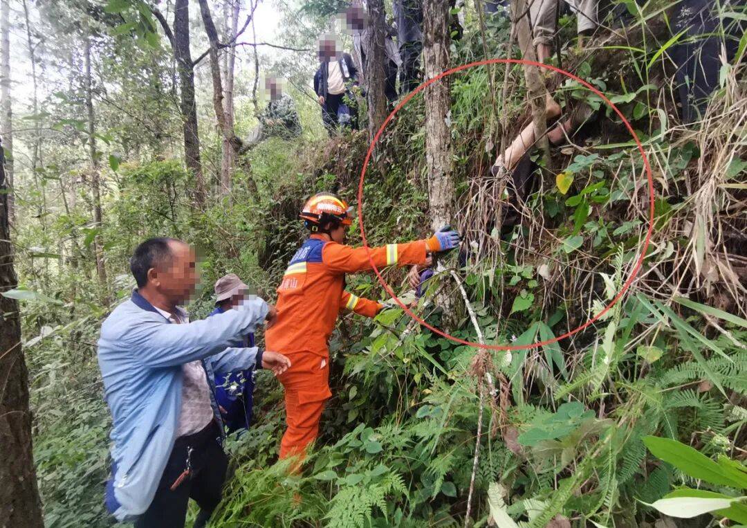 皇冠信用網代理出租
_93岁老人进山失联皇冠信用網代理出租
,两天后发现他倒挂在树杈上苦撑……
