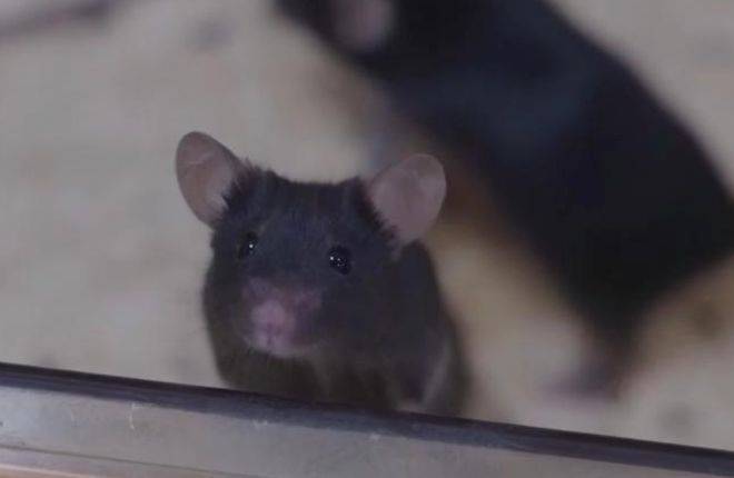 皇冠信用網注册开户
_神舟二十一号升空!现在的问题是皇冠信用網注册开户
,导师上天了,组会还开吗?