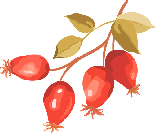 皇冠代理註冊
_浙江工业大学姚建华教授:飞秒激光打造“防冰盔甲”皇冠代理註冊
,超疏水表面光热防冰 又强又稳” | 中国激光·封面