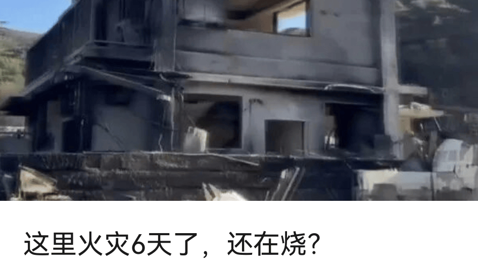 皇冠信用平台出租出售_驻日美军基地毒蜘蛛“疑似外溢”