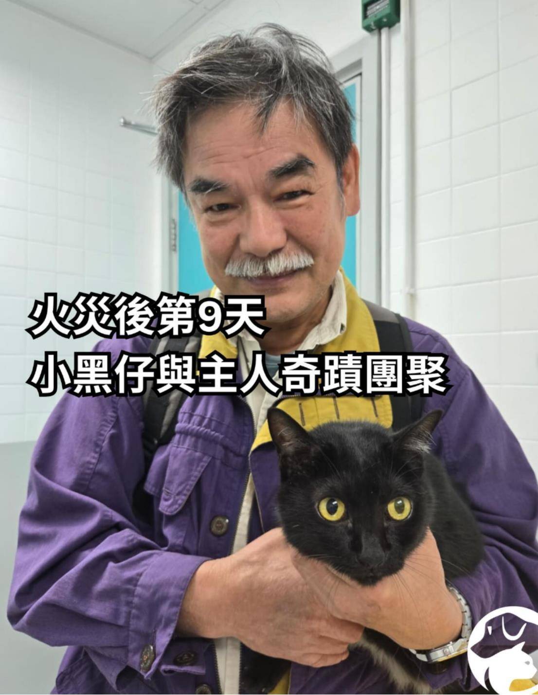 如何找当地皇冠代理_两只猫在香港宏福苑大火后获救如何找当地皇冠代理，灾后9日奇迹生还与主人团圆