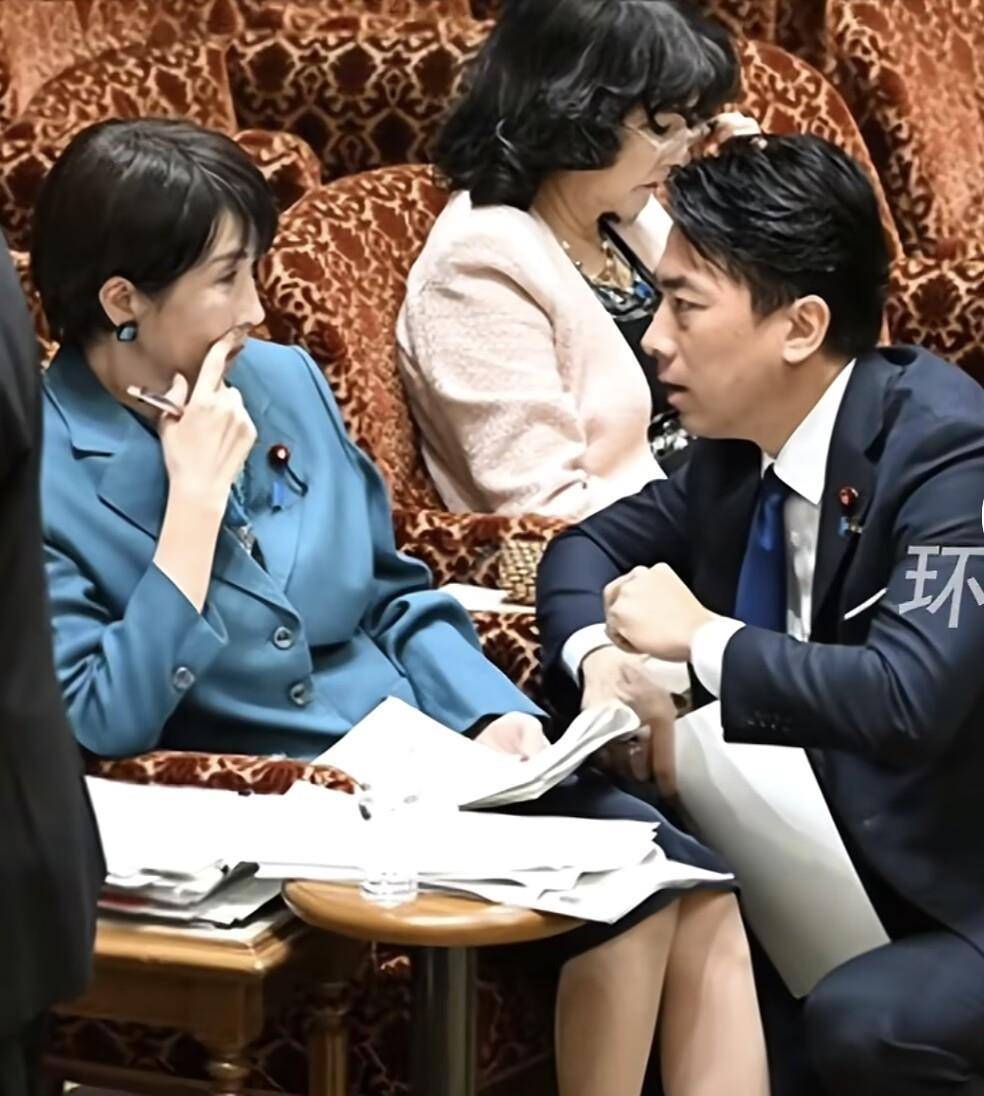 皇冠信用網开户_小泉进次郎跪地与高市早苗交谈皇冠信用網开户，企图为高市发声，遭在野党强烈嘘声