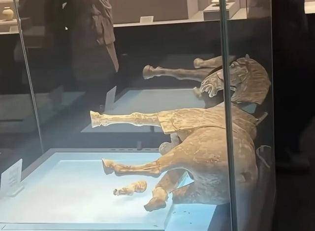 介绍个信用盘网址_唐代彩绘陶马倾倒介绍个信用盘网址，洛阳博物馆回应！