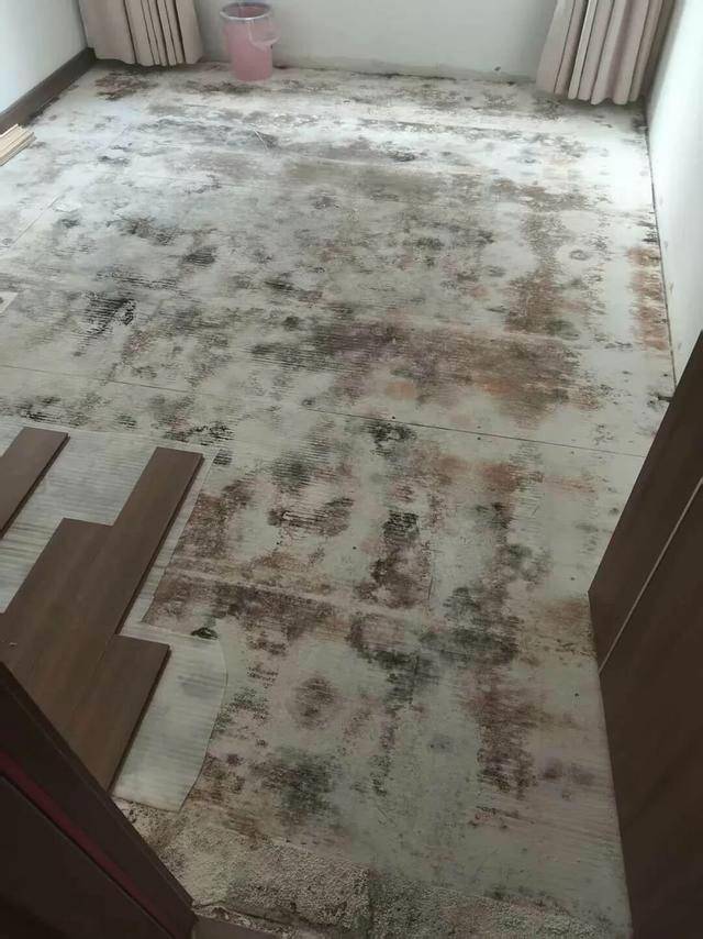 皇冠信用网网址
_河南郑州保利一小区超两百户精装房成“霉菌房” 皇冠信用网网址
,家里一股霉味