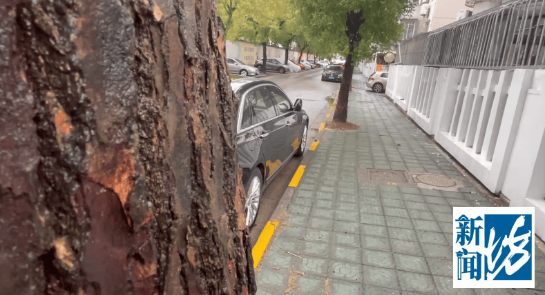 正版皇冠信用网_女子怀疑丈夫出轨闺蜜正版皇冠信用网，花9000元雇人追踪被抓包！法院：“私家侦探”判刑4个月罚款3000元